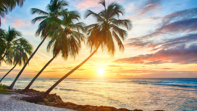 Illustration for article titled Find Your Perfect Beach Destination In Malaysia For Great Holiday!